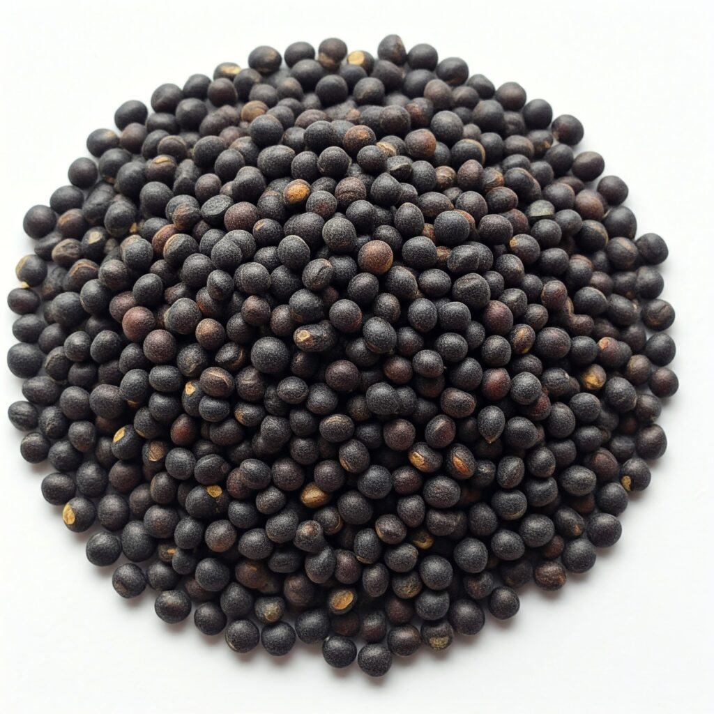 Best Black Gram Seeds Producers In India