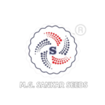 Best Seed Producers In India