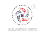 Best Seed Producers In India